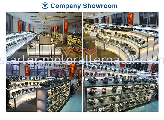 Premium OEM 06-019/YY16L26 Alternator Regulator ISO9001/CE/TS16949 Certified with 1 Year Warranty